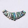 Rectangle Natural Abalone Shell/Paua ShellGraduated Beads Strands SSHEL-P002-05-2