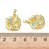 Brass Micro Pave Cubic Zirconia Pendants KK-I371-34G-02-3