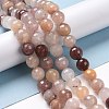 Natural Violet Strawberry Quartz Beads Strands G-E571-02C-4