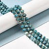 Natural Apatite Beads Strands G-P508-A15-01-2