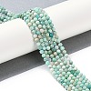 Natural Amazonite Beads Strands G-G139-A15-03-2