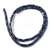 Natural Sodalite Beads Strands G-E612-A12-2