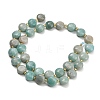 Natural Amazonite Beads Strands G-H005-B13-01-4