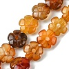 Natural Red Agate Beads Strands G-H023-B21-01-1