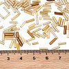 Glass Round Bugle Beads SEED-XCP0001-47G-4