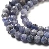 Natural Tanzanite Beads Strands G-G161-A14-03-4