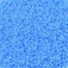 MIYUKI Round Rocailles Beads SEED-G007-RR0148F-2