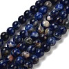 Natural South Africa Sodalite Beads Strands G-S259-35-8mm-4