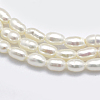 Natural Cultured Freshwater Pearl Beads Strands X1-PEAR-F007-83-3