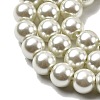 Eco-Friendly Dyed Glass Pearl Beads Strands HY-A008-6mm-RB020-3