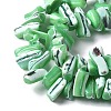 Dyed Natural Trochus Shell Beads Strands SSHEL-C013-09H-3