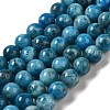 Natural Apatite Beads Strands G-S150-18-8mm-2