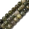 Natural Green Lepidolite Beads Strands G-K350-C01-8mm-2