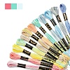 6-Ply Polyester Embroidery Floss OCOR-FZ0001-01B-2