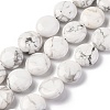 Natural Howlite Beads Strands G-C159-A01-01-1