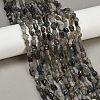 Natural Labradorite Beads Strands G-Q060-D02-1