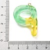 Resin Pendant FIND-Q107-01P-03-3