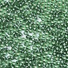 Glass Seed Beads SEED-S042-04A-01-3