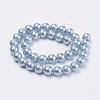 Wrinkle Textured Shell Pearl Beads Strands BSHE-E016-12mm-M-2