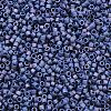 MIYUKI Delica Beads SEED-X0054-DB2319-2