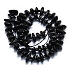 Natural Black Tourmaline Beads Strands G-K245-H08-B01-2