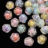 Transparent Acrylic Beads TACR-T024-06B-1