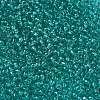 FGB 8/0 Grade A Round Glass Seed Beads SEED-Q006-3mm-F20-2