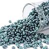 TOHO 8/0 Round Beads SEED-XTR08-1206-1