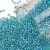 TOHO Round Seed Beads X-SEED-TR15-0023-1