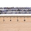 Natural Tanzanite Beads Strands G-C255-A01-3mm-5