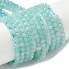 Natural Amazonite Beads Strands G-C201-A01-3mm-2