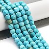 Dyed Natural Turquoise Beads Strands G-H028-A04-01-2