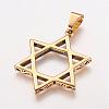 304 Stainless Steel Pendants STAS-P137-16G-2