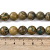Natural Green Dragon Veins Beads Strands G-D098-A01-10mm-5