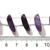 Natural Amethyst Beads Strands G-P561-A02-01-4