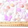 Rainbow Iridescent Plating Acrylic Beads OACR-FS0001-99A-5