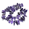 Natural Amethyst Beads Strands G-G106-J07-01-2