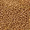 8/0 Glass Seed Beads X-SEED-A017-3mm-1108-2