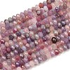 Natural Plum Blossom Tourmaline Beads Strands G-K421-A01-01-2