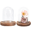 SUNNYCLUE Glass Dome Cover AJEW-SC0001-61C-1