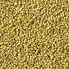 MIYUKI Round Rocailles Beads X-SEED-G008-RR4512-3