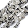 Natural Tourmalinated Quartz/Black Rutilated Quartz Beads Strands X-G-P332-42-1