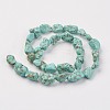 Natural Green Turquoise Beads Strands X-G-N0312-01-2