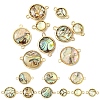 9Pcs 3 Styles Natural Paua Shell Connector Charms KK-YW0003-61-1