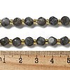 Natural Larvikite Beads Strands G-K387-A02-01-5