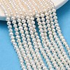 Natural Cultured Freshwater Pearl Beads Strands PA-CBABE82-05-1