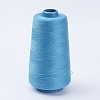 Polyester Thread LS-OCOR-WH0001-01-1