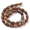 Natural Red Rainbow Jasper Beads Strands G-B106-B23-01-3