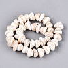 Natural Sea Shell Beads Strands SHEL-Q028-02-2