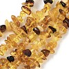 Natural Amber Beads Strands G-L095-D01-04-2